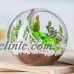 Globe Glass Ball Planter Vase Flower Plant Pot Terrarium Container Tabletop TOOP   132705222044